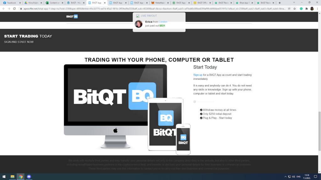 how the BitQT actually works