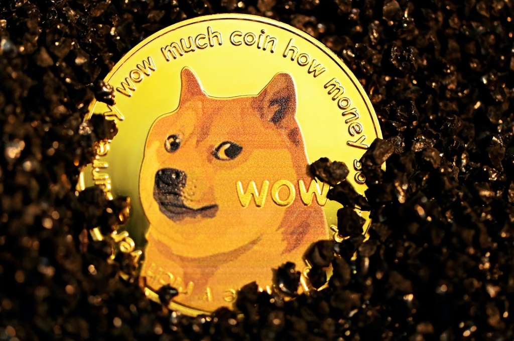 Shiba Inu Coin