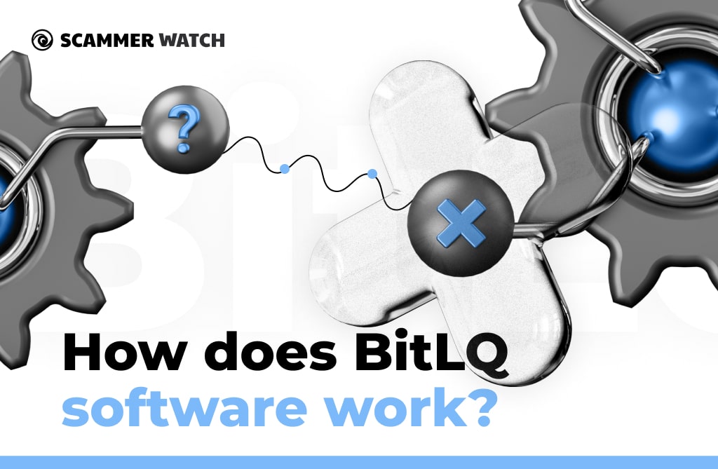 How does BitLQ software work